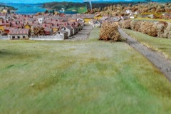 DSCN0564